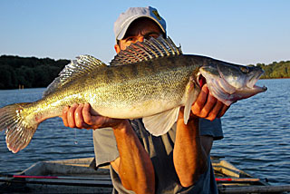 cedfish le blog de Cedric